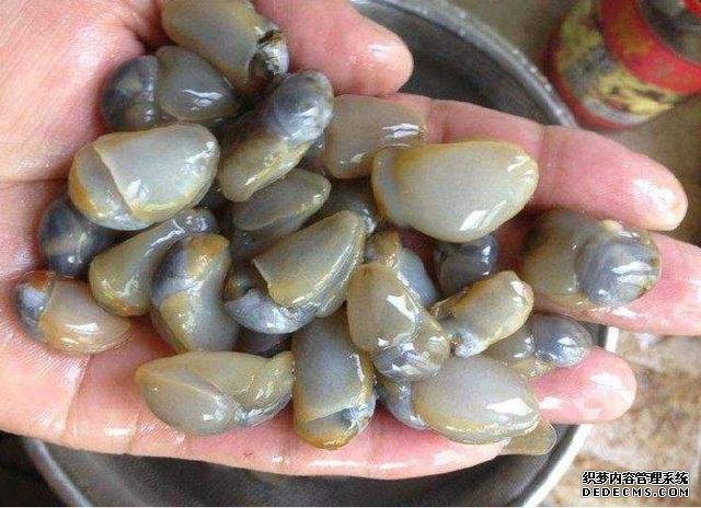 它比“小龍蝦”還受寵，味道鮮美，曾賣5元一斤，現(xiàn)想吃都買不起