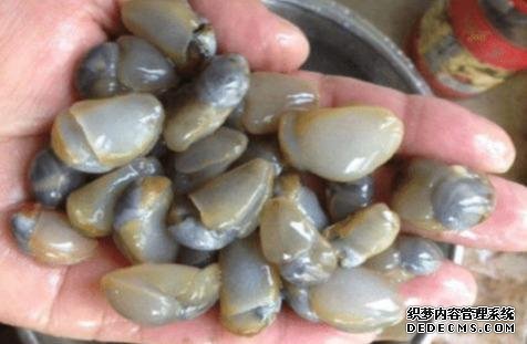 樣子很丑的4種海鮮，味道卻好到讓人“上癮”, 可惜識貨的人不多