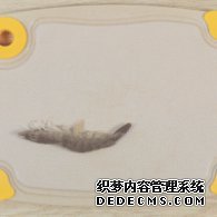 步驟圖:鮮蝦去頭去尾、去殼、去蝦線。蝦的背部和腹部各有一條