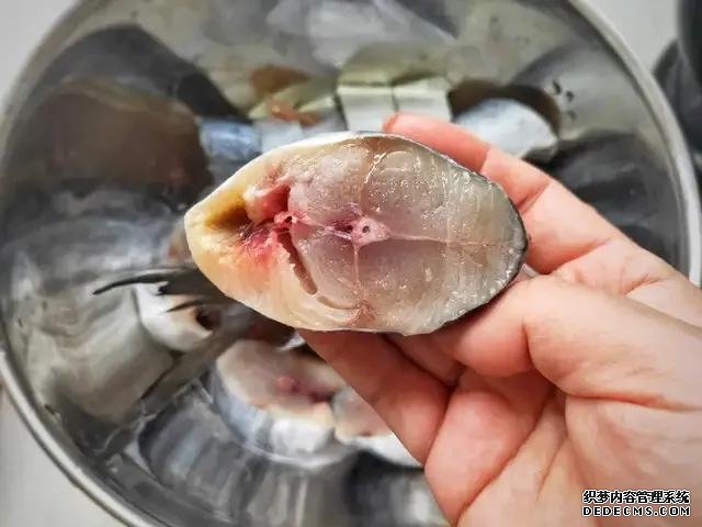 遇上這魚從不手軟，一買就是10斤，肉嫩刺少營養(yǎng)高，每次都吃不夠