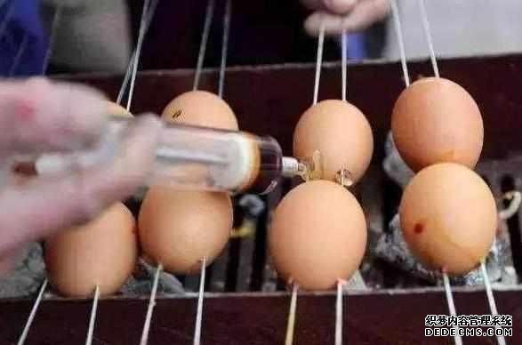 下崗大叔賣“天價”雞蛋，十元1串，食客：吃完一口還想第二口