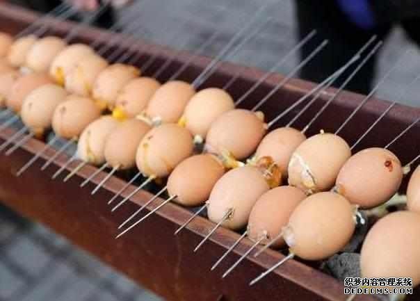 下崗大叔賣“天價”雞蛋，十元1串，食客：吃完一口還想第二口