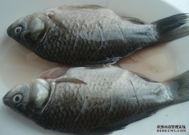 鯽魚我只服這樣做，稍微腌制風(fēng)干，做好一次可以吃上半年