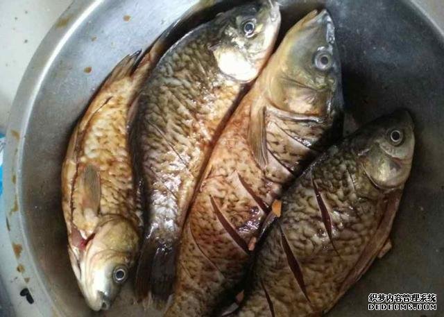 鯽魚我只服這樣做，稍微腌制風(fēng)干，做好一次可以吃上半年
