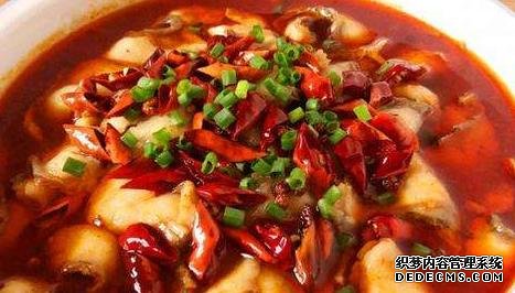 家常菜才是最解饞的，簡單燜一燜，汁鮮肉香，看她饞到舔盤