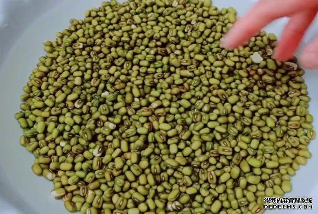 綠豆別熬粥啦，試試這樣做，5元食材做一大盤，孩子吃了還想吃