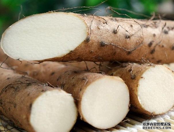健脾護(hù)胃的山藥，就是要做出花樣才好吃呢，雞蛋卷加薯?xiàng)l，超好吃