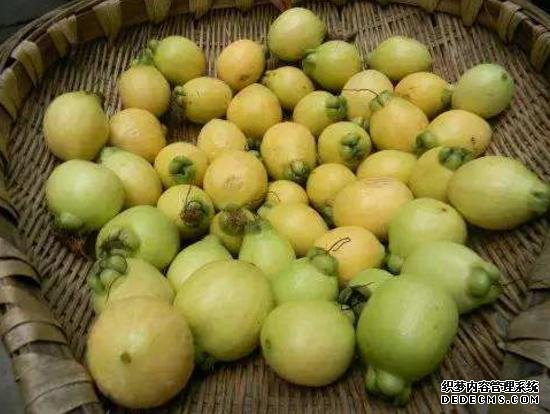 它被稱為“維C之王”，果肉甜而多汁，30元一斤，只有少數(shù)人吃過