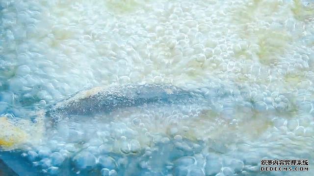 春節(jié)宅家中，捉了盆“水中人參”，寬油大火炸到焦香，很下飯