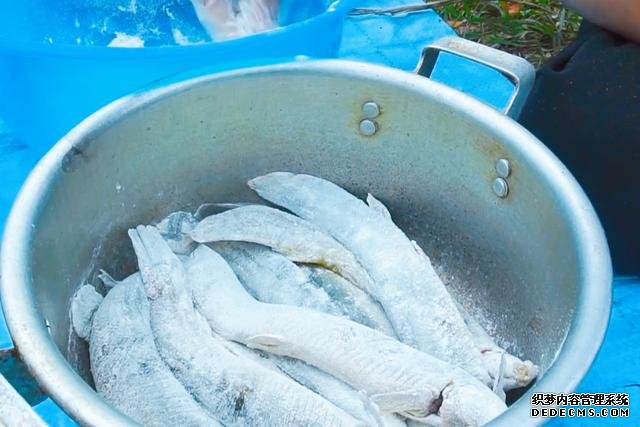 春節(jié)宅家中，捉了盆“水中人參”，寬油大火炸到焦香，很下飯