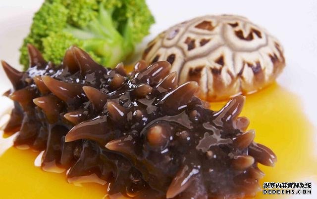 海參還能這樣吃：詳細(xì)泡發(fā)方法和做法步驟，滋補(bǔ)養(yǎng)顏，強(qiáng)身抗衰老