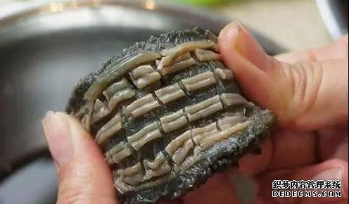 海參還能這樣吃：詳細(xì)泡發(fā)方法和做法步驟，滋補(bǔ)養(yǎng)顏，強(qiáng)身抗衰老