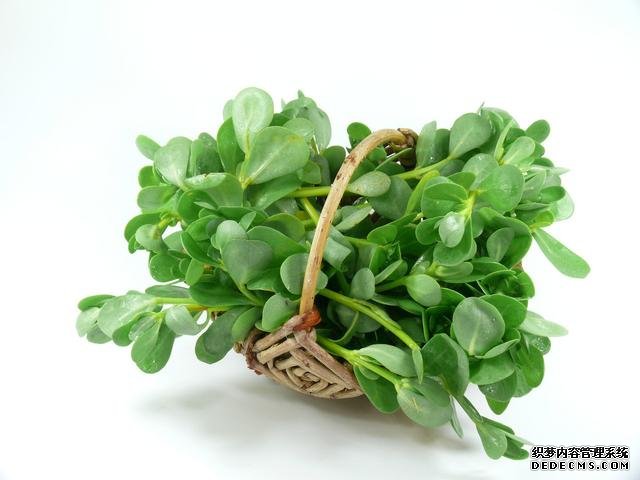 春分時(shí)節(jié)這菜要抓緊吃，再晚又得等1年，路邊隨處可見，營養(yǎng)豐富