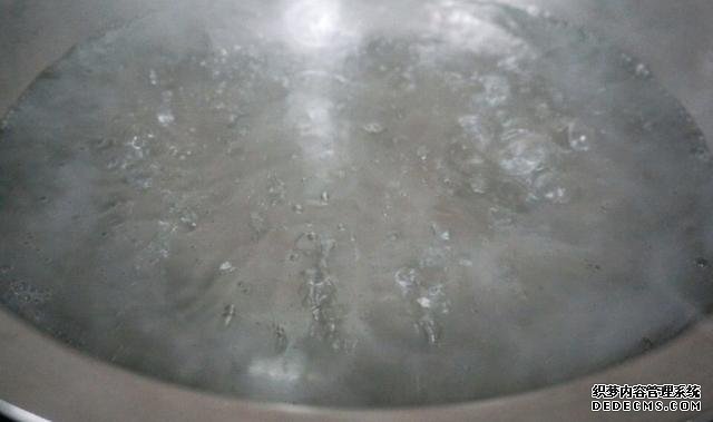 最正宗的蠔油生菜，快手簡單還減肥，2塊錢就能做一盤