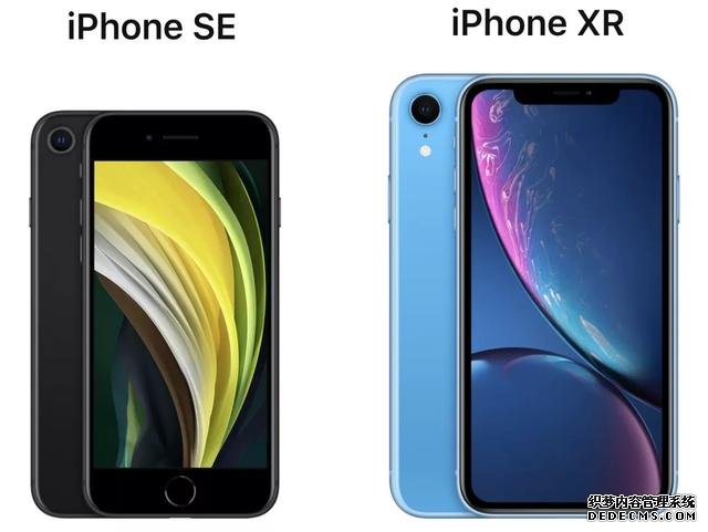 新款iPhone SE和iPhone XR怎么選？