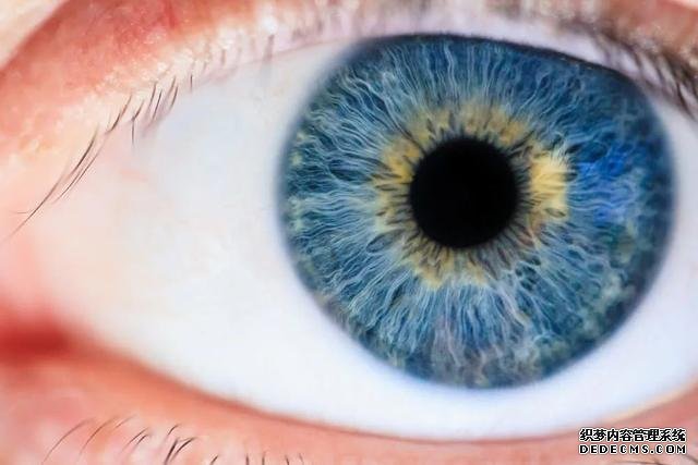 眼睛疲勞竟然會降低免疫力？是的