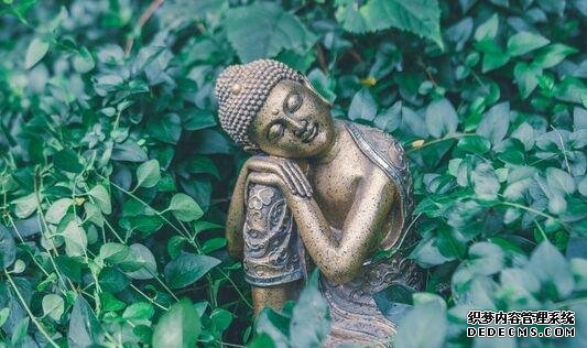 吃得少就能活得更長更健康？研究發(fā)現(xiàn)飲食限制下，壽命和健康壽命并沒有關(guān)聯(lián)