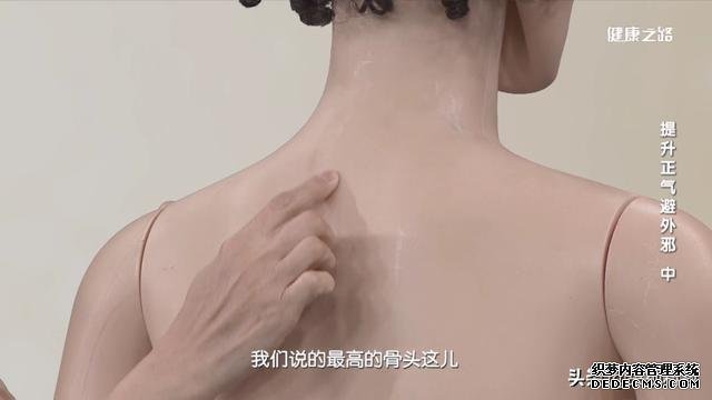 巧祛痰濕，增強(qiáng)抗病力，“兩點(diǎn)一面”是關(guān)鍵