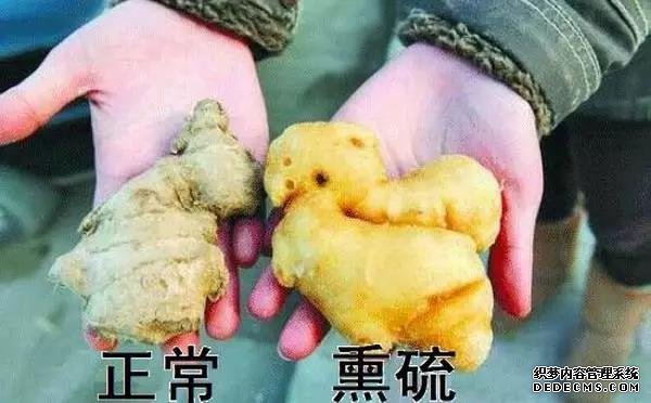 遇到這種生姜千萬不要買，外表看似光滑無泥土，實則有毒無姜味