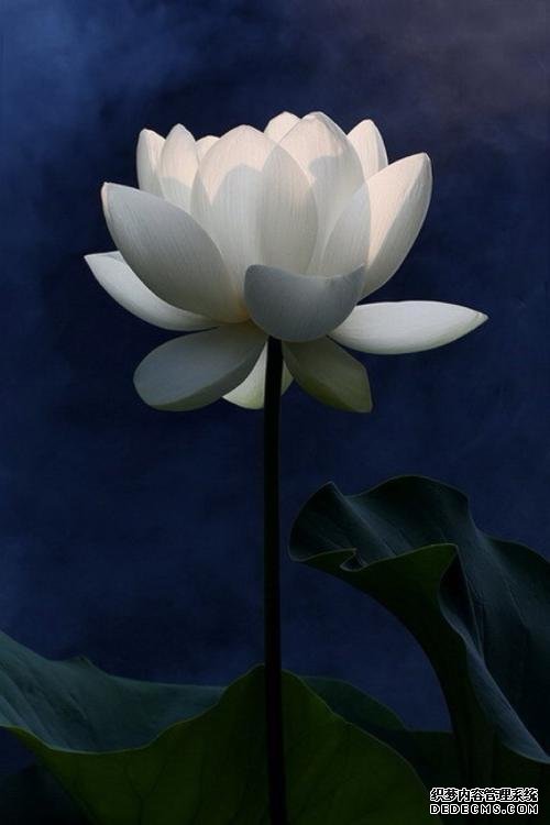 徐文兵：對(duì)于養(yǎng)生來(lái)說(shuō)，方向比方法更重要