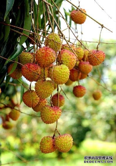 為什么一到夏天，你總是沒(méi)胃口？