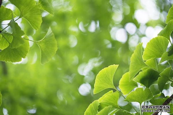 久坐、活動量小的職場人速查！這些指標(biāo)不合格，很“傷心”