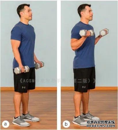 健身房10個力量訓(xùn)練動作教程，詳細(xì)講解，很適合初學(xué)者學(xué)習(xí)