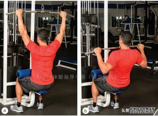 健身房10個力量訓(xùn)練動作教程，詳細(xì)講解，很適合初學(xué)者學(xué)習(xí)