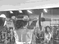 史上最全！54個(gè)GIF健身動(dòng)作大全，趕緊收藏！