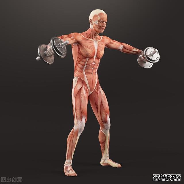 新手健身，應(yīng)該怎么安排訓(xùn)練，如何開啟健身計(jì)劃呢？