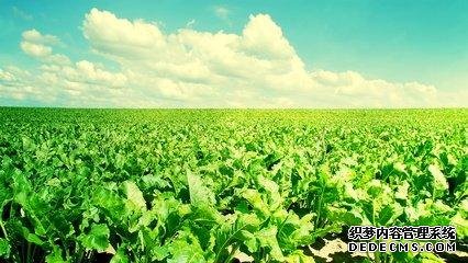 做人，心態(tài)要健康！