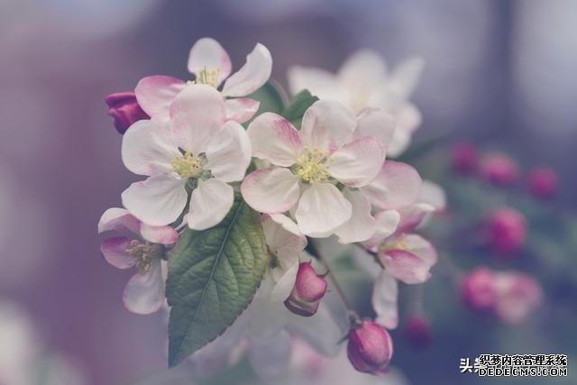 7種心理暗示，讓你保持健康心態(tài)