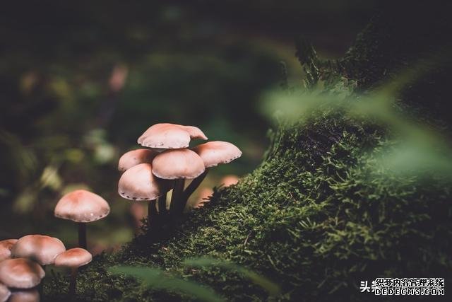 7種心理暗示，讓你保持健康心態(tài)