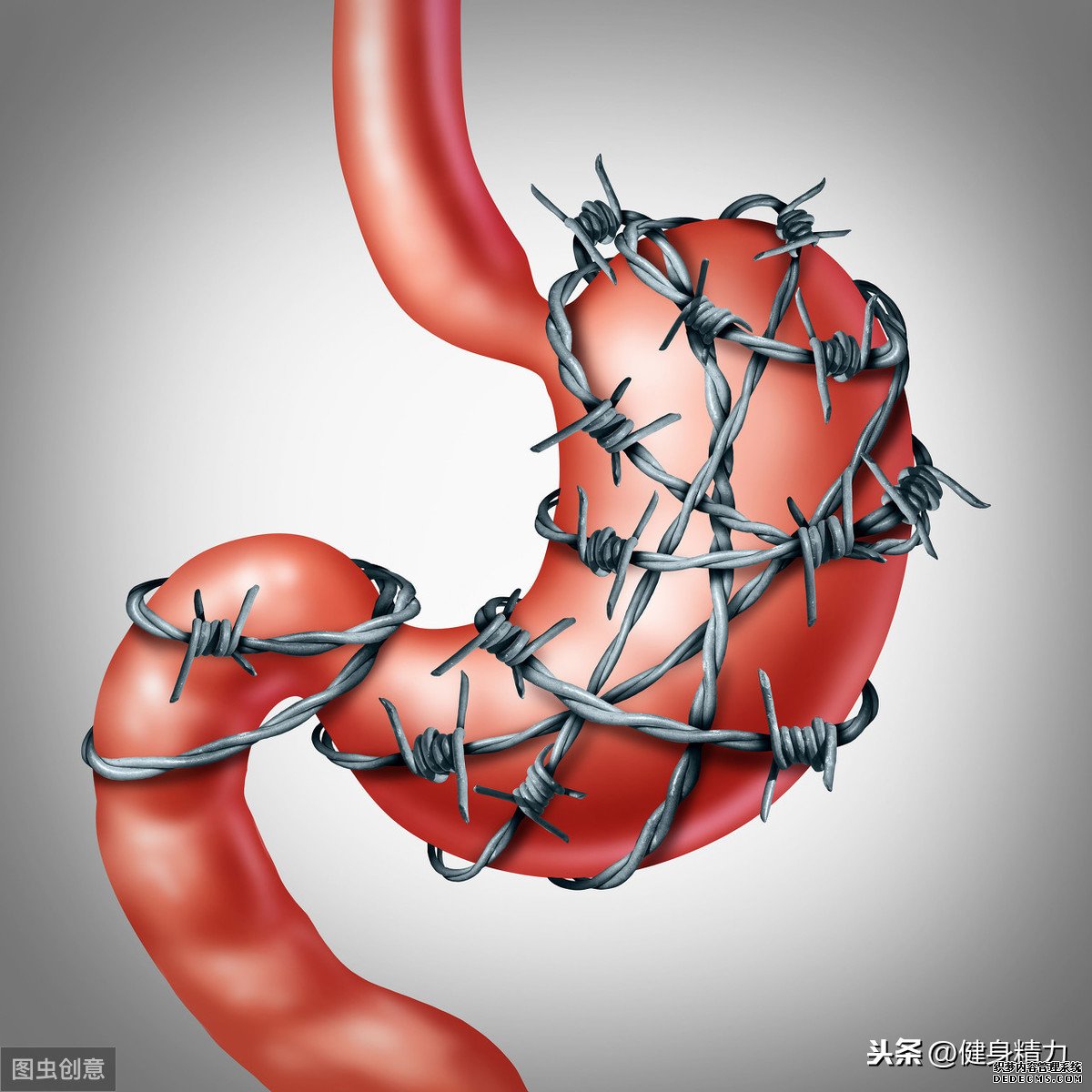 怎么做好健身飲食管理？把握好這幾點(diǎn)就可以