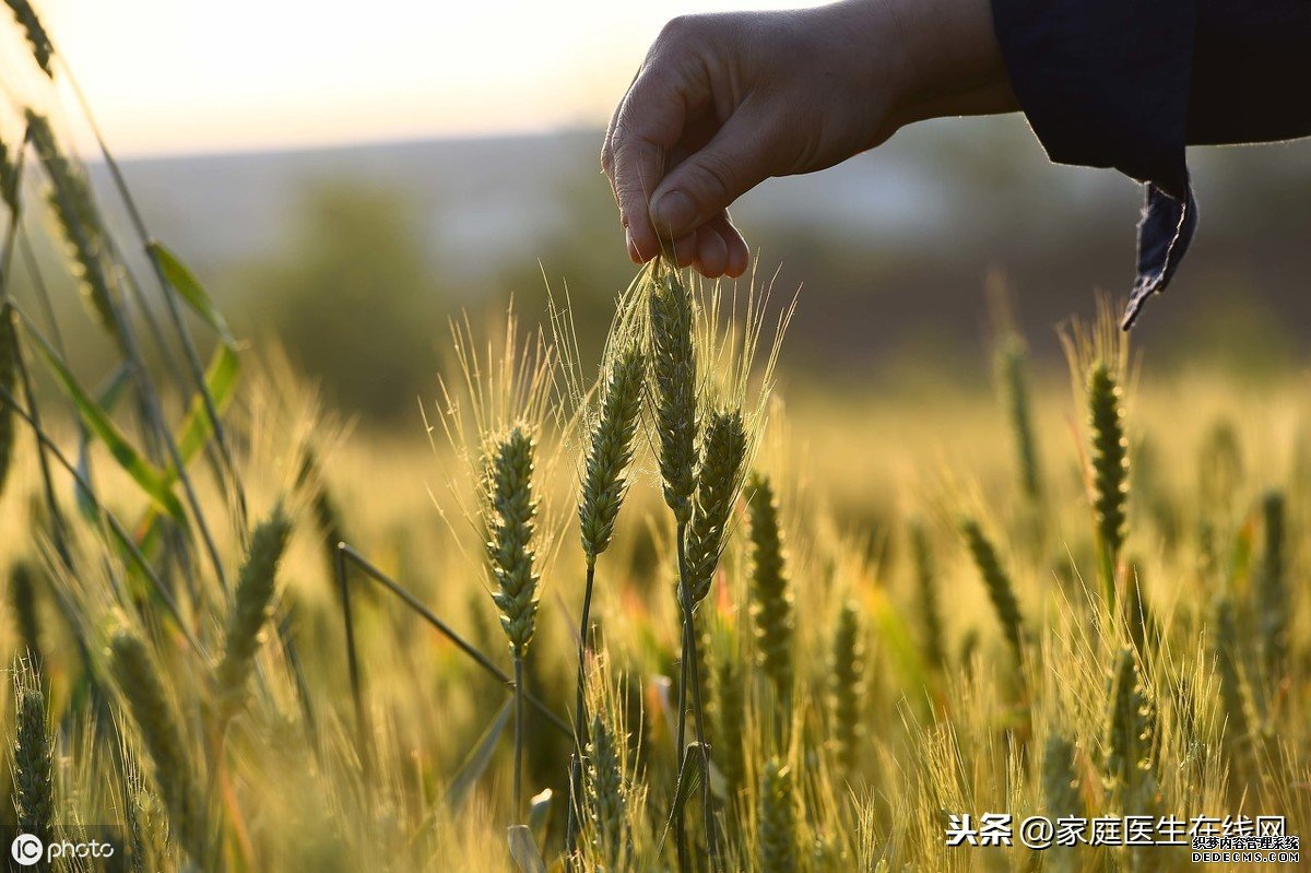 小滿節(jié)氣：養(yǎng)生牢記這幾個(gè)要點(diǎn)，健康一整個(gè)夏天