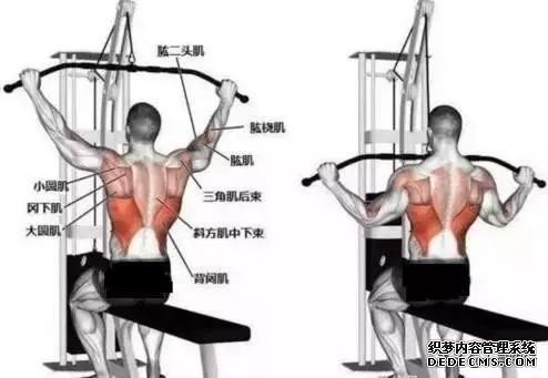 健身過程中，如何讓訓練更高效？提高意識與肌肉的聯(lián)系，才是關鍵