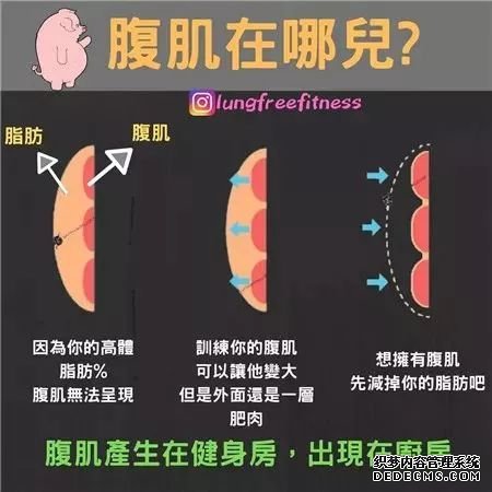 22條健身知識，認真看完相當于上了一節(jié)私教課