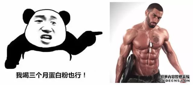 一萬次的想法，比不上你一次全身心的投入到健身當(dāng)中去