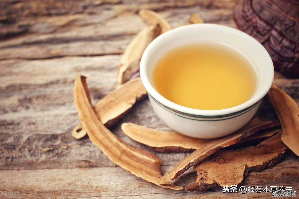 身體虛弱能長期和鹿角靈芝草泡水嗎？鹿角靈芝有啥禁忌？