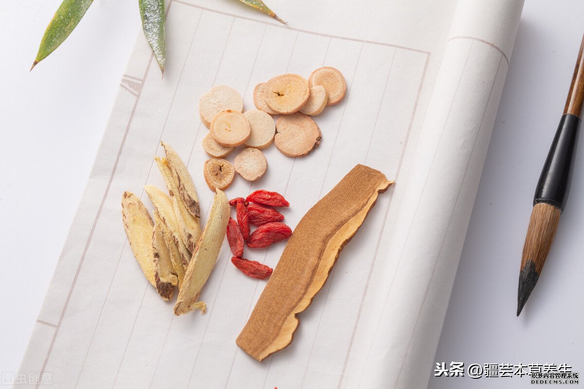 身體虛弱能長期和鹿角靈芝草泡水嗎？鹿角靈芝有啥禁忌？