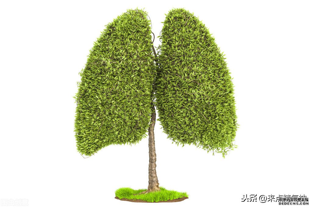 每天3次！幫助鼻子防止寒氣侵犯體內(nèi)。鼻炎或鼻子不靈敏的注意