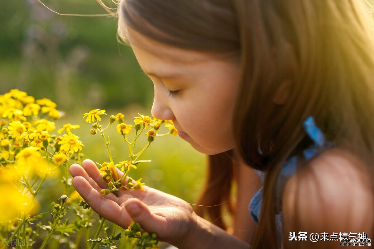 每天3次！幫助鼻子防止寒氣侵犯體內(nèi)。鼻炎或鼻子不靈敏的注意