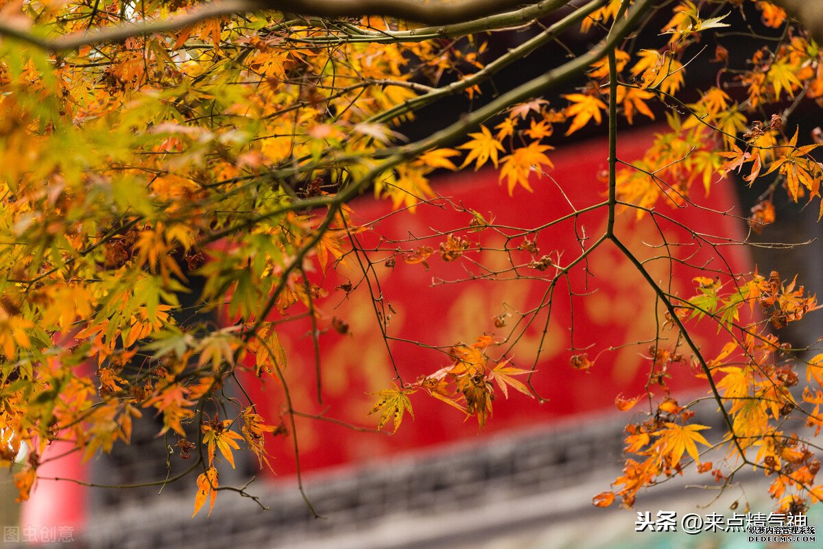 每天3次！幫助鼻子防止寒氣侵犯體內(nèi)。鼻炎或鼻子不靈敏的注意