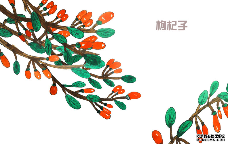 吃枸杞可以長壽，但是您吃對了嗎？