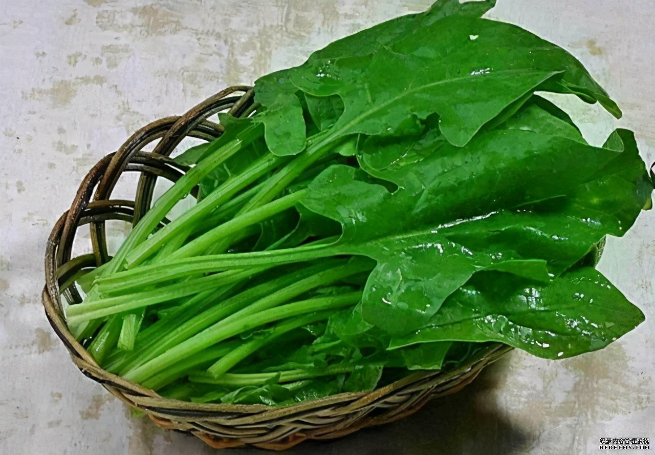 眼睛常常出現(xiàn)“酸痛”？多吃這些“食物”，遠(yuǎn)離疲勞與干澀