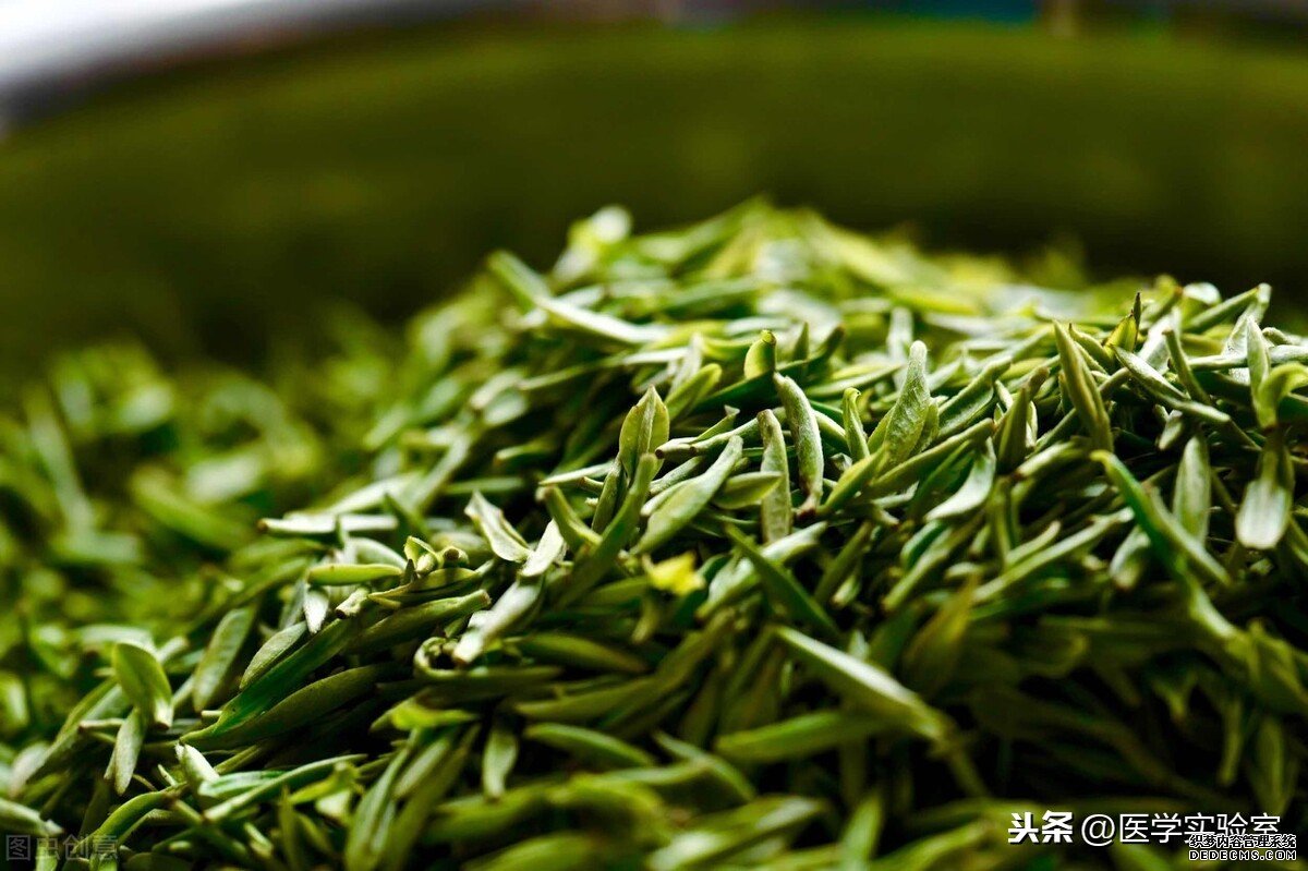 喝茶的“六大禁忌”，會喝茶也要懂茶，不讓茶傷害到自己