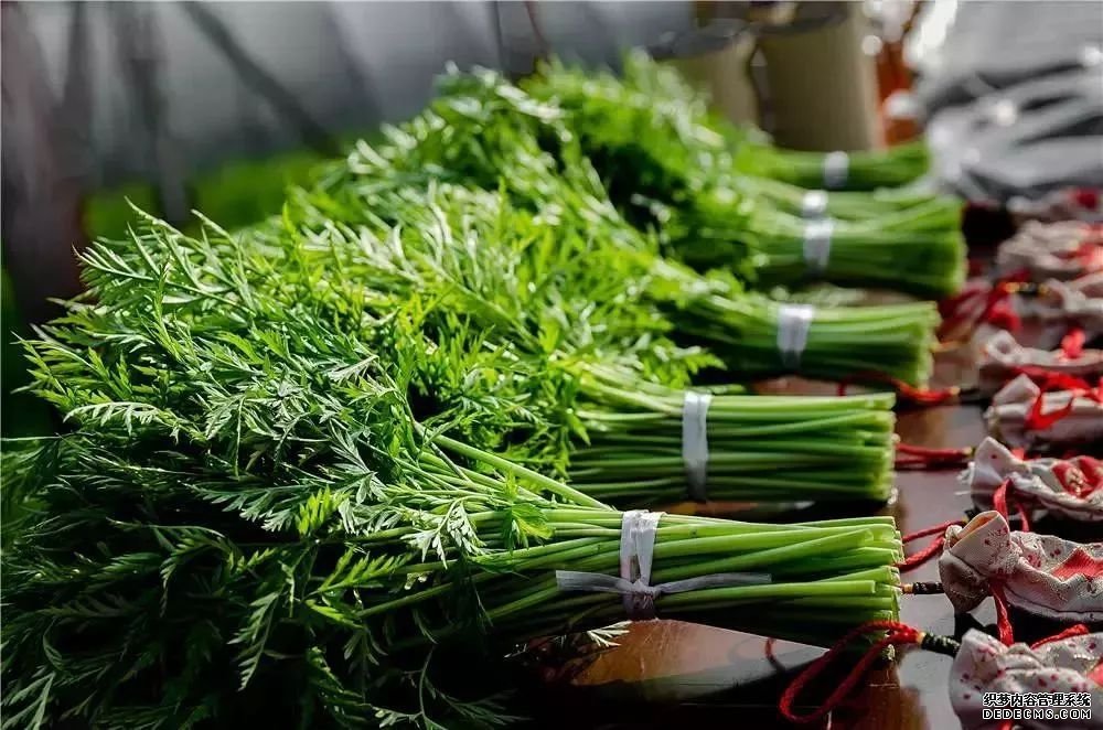 血管斑塊可以消除嗎？做到這四點，血管會被洗干凈