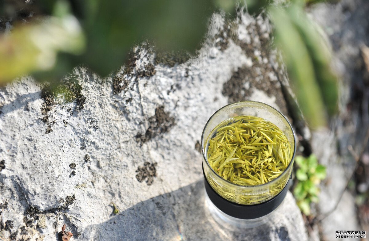 茶葉是酸性還是堿性？