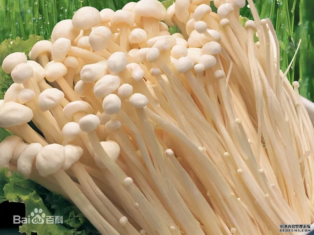 這些食物吃起來有風(fēng)險(xiǎn)，一定要當(dāng)心。