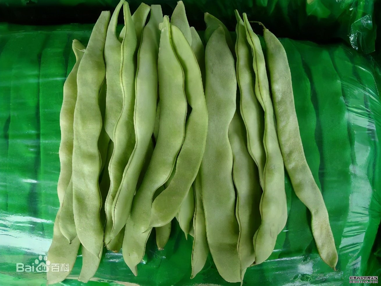這些食物吃起來有風(fēng)險(xiǎn)，一定要當(dāng)心。